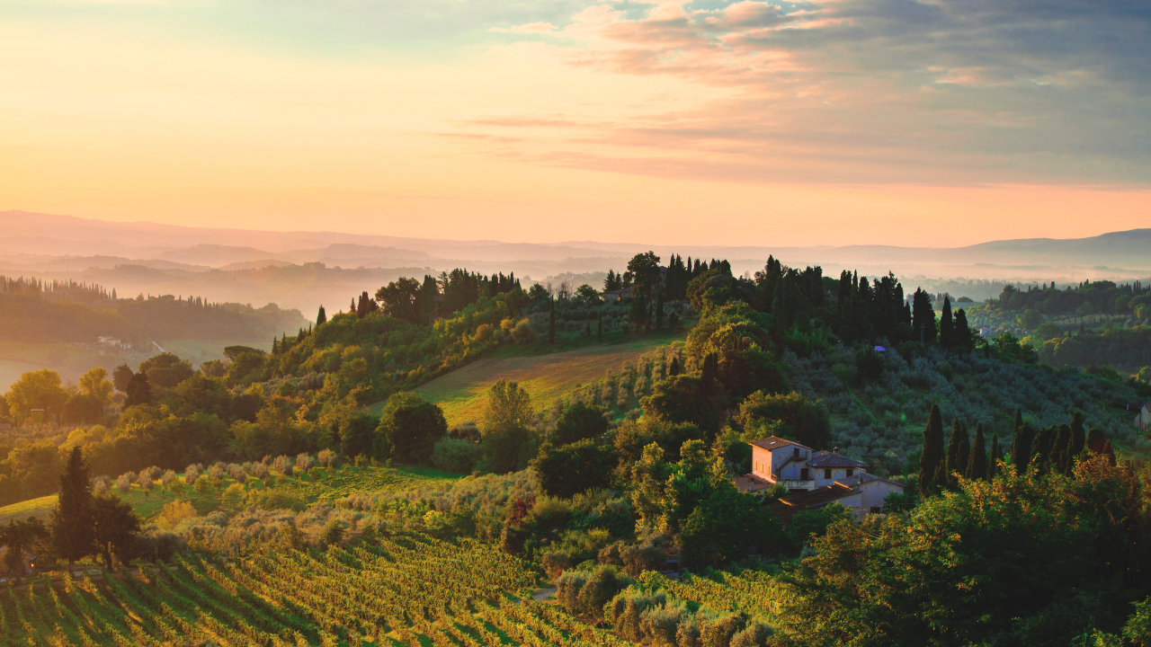 Avaleht Untitled Design 16