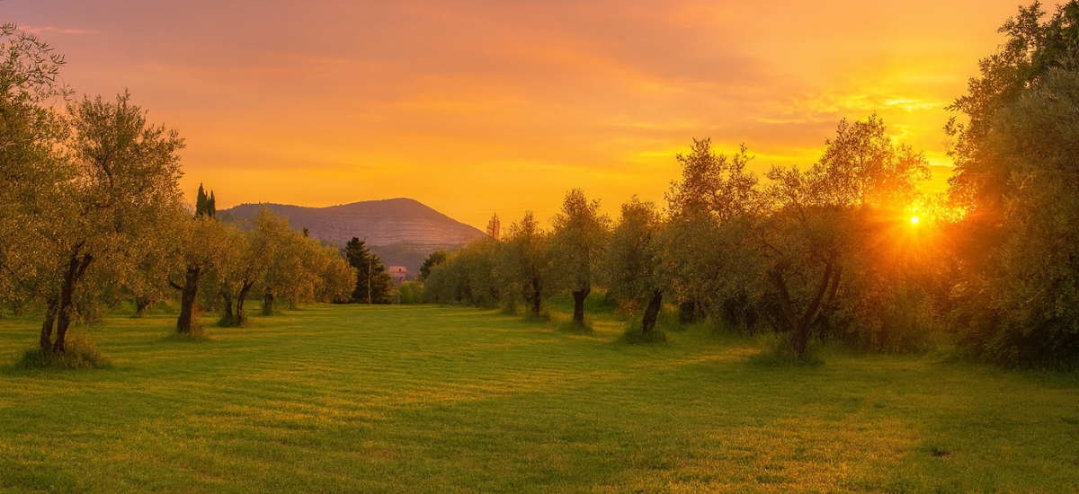 Avaleht Untitled 1200 X 550 Px 1