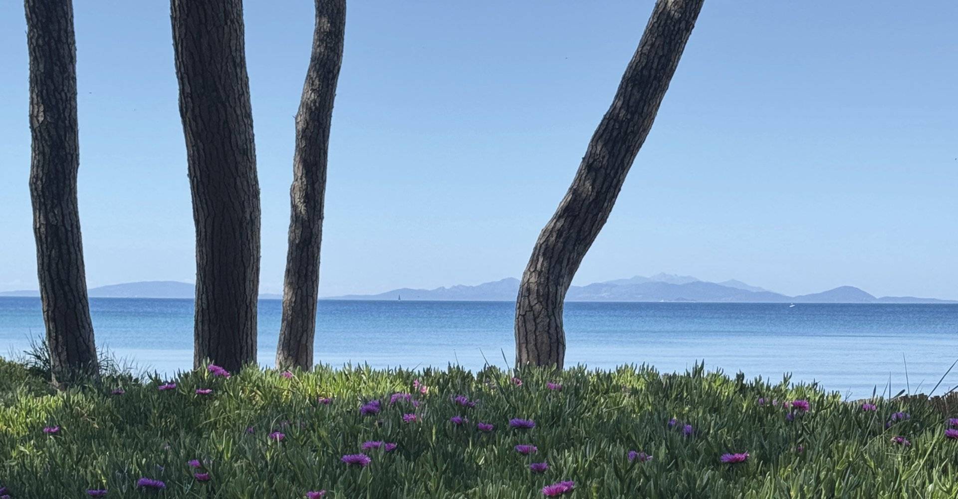 Visittuscany Giugno 24 Spiaggia La Polveriera A Scarlino 8UD